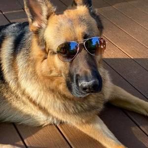 Meet your Posher, Victoria